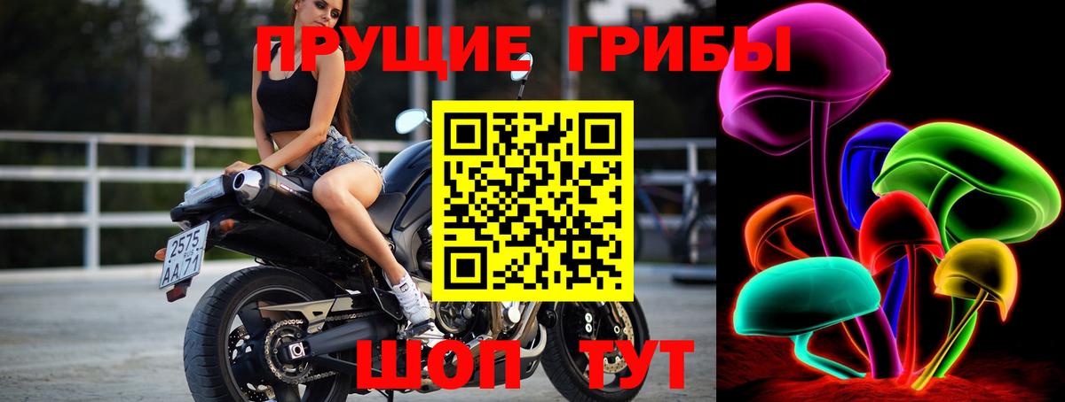 Алушта  Псилоцибиновые грибы Cubensis  купить наркоту  Вход с VPN 